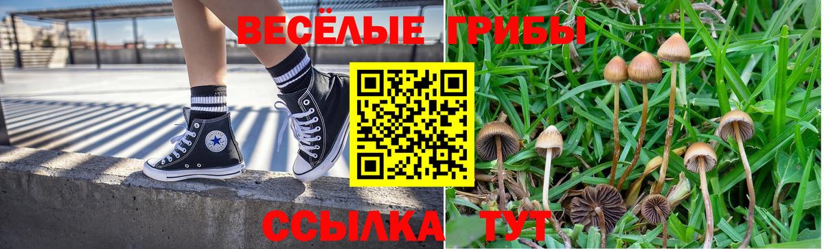 Донецк  Псилоцибиновые грибы MAGIC MUSHROOMS  Вход с VPN 