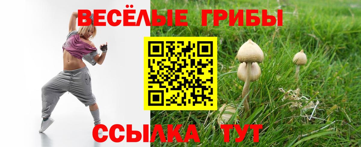 Галлюциногенные грибы ЛСД Донецк