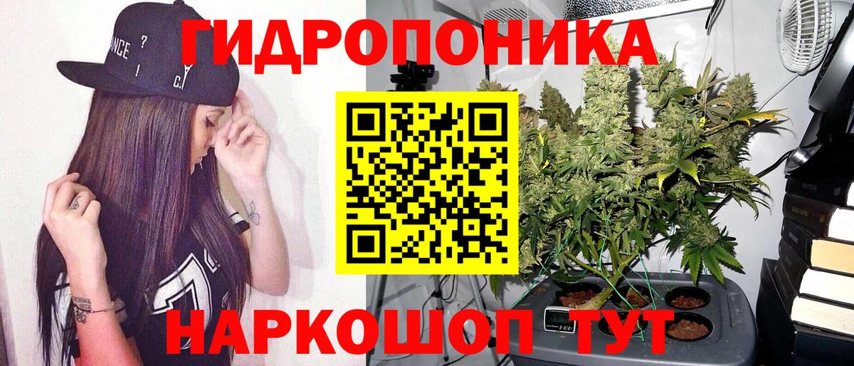 Канабис AK-47  Бошки Шишки SATIVA & INDICA  Донецк  Вход с VPN 